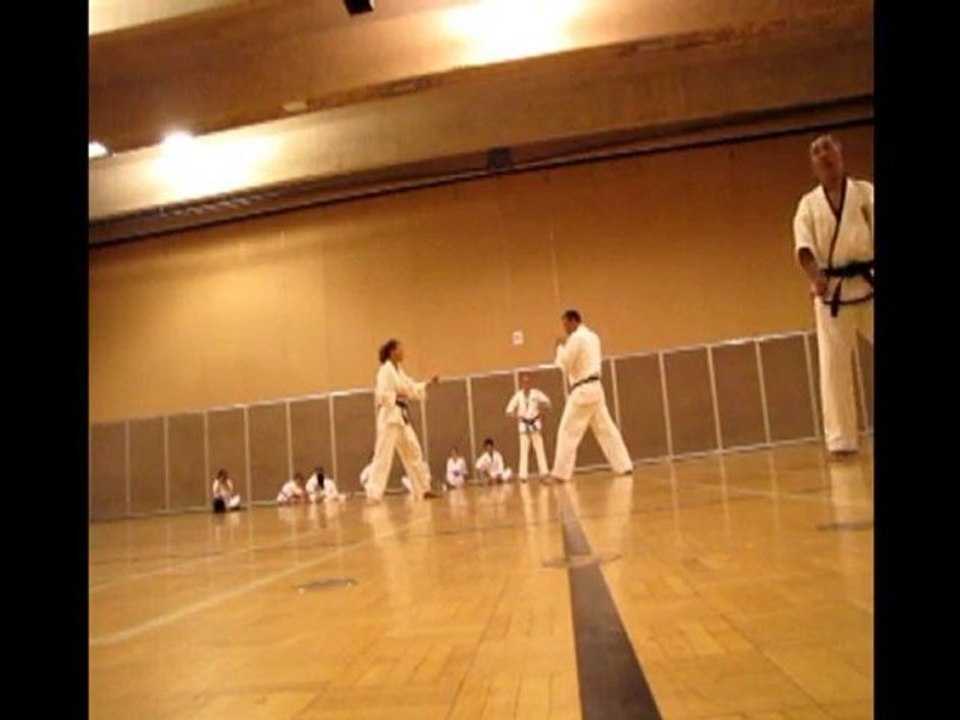 Black Belt Exam  June 2010 MC and Peter Basic Technics (1)