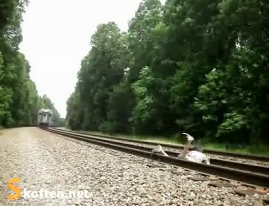 Glissade sur les rails devant un train