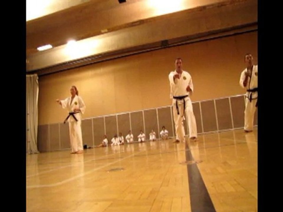 Black Belt Exam  June 2010 MC and Peter Basic Technics (2)