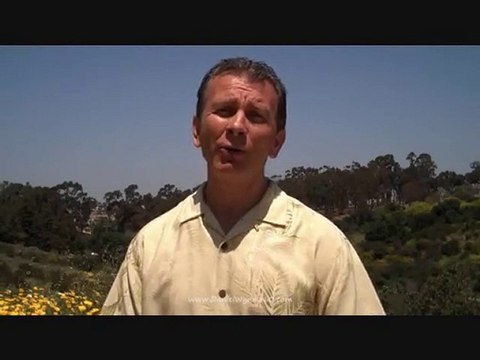 Main Street Marketing Bonus, Traffic Geyser, Daniel Wynn