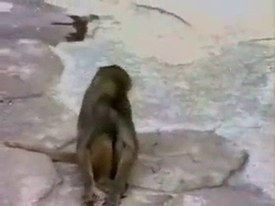 Bazı Şeyler Dehşete Düşürür