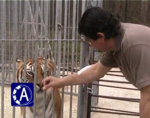 Rencontre Avec Kid Bauer a Bagatelle