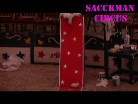 les rats font du toboggan