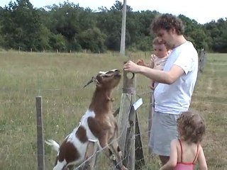 La méchante chèvre