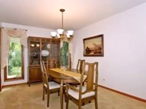 Homes for Sale - 6231 Lyman Ave - Downers Grove, IL 60516 -