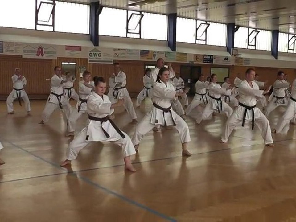 Karate-Wochenende in Lübbenau 2010 Video 2