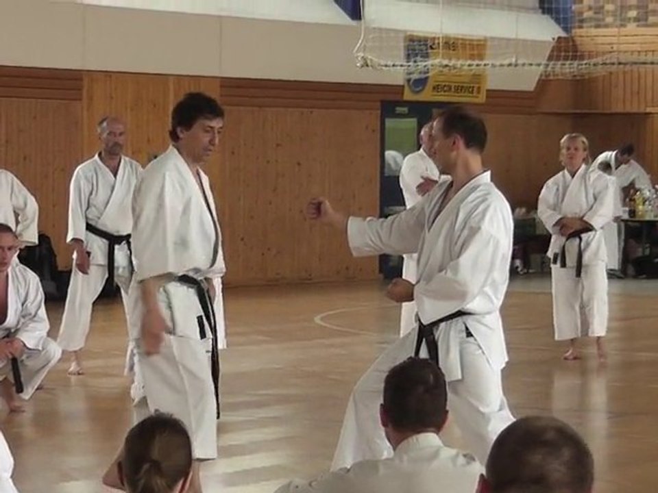 Karate-Wochenende in Lübbenau 2010 Video 4