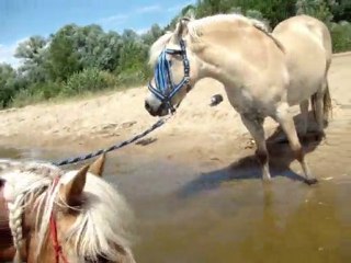 Dimanche 11 juillet Plage