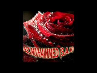 Hz Muhammed (s.a.v)