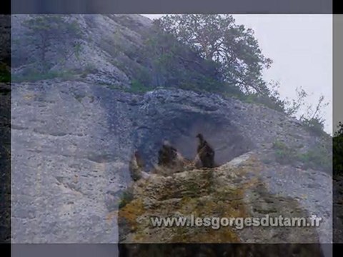 Balade de la Baousse del biel dans les Gorges du Tarn