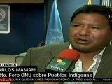 Grave y crítica la situación de pueblos indígenas de Colo