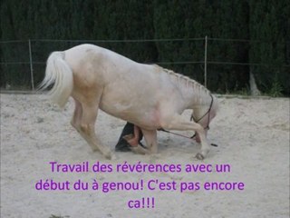 Moment de détente entre Iena et moi