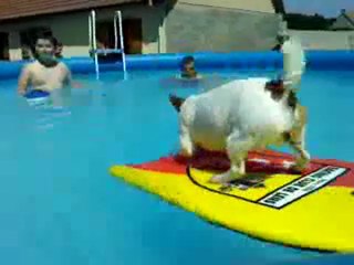 Djek dans la piscine