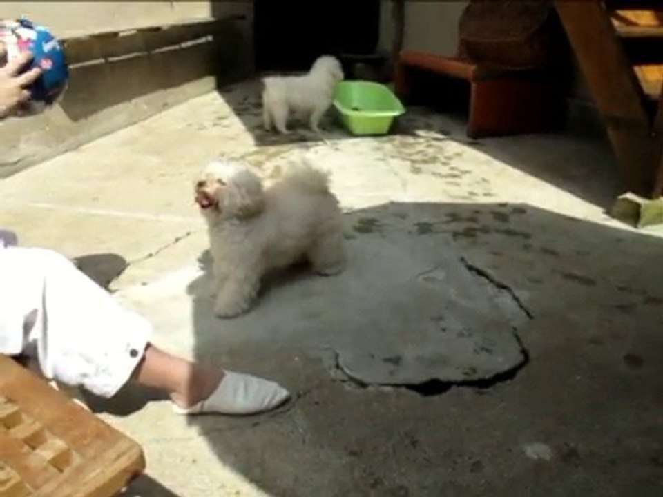 soirée foot avec bergamote
