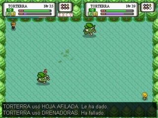 Pokémon Edición Reloaded - Torterra vs Torterra