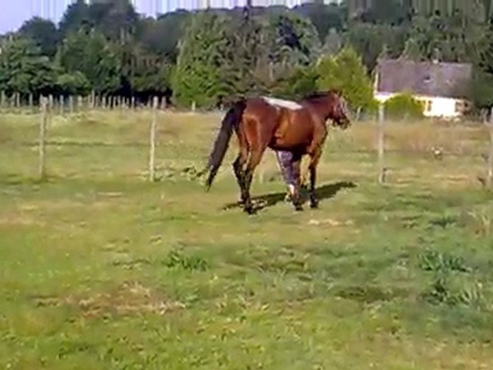 New qui boite ou pas...