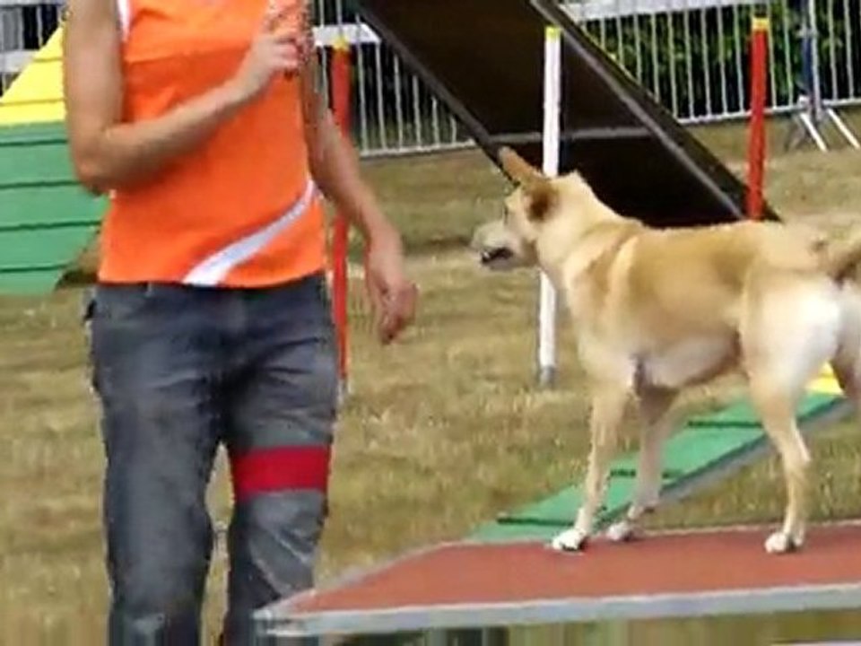 Agility 2010 Ploemeur