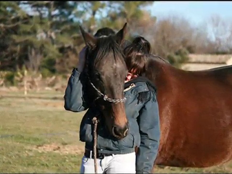 Jeffye. Deux années passées.