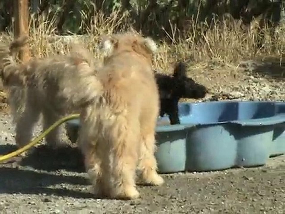 Il fait chaud en Ardèche...