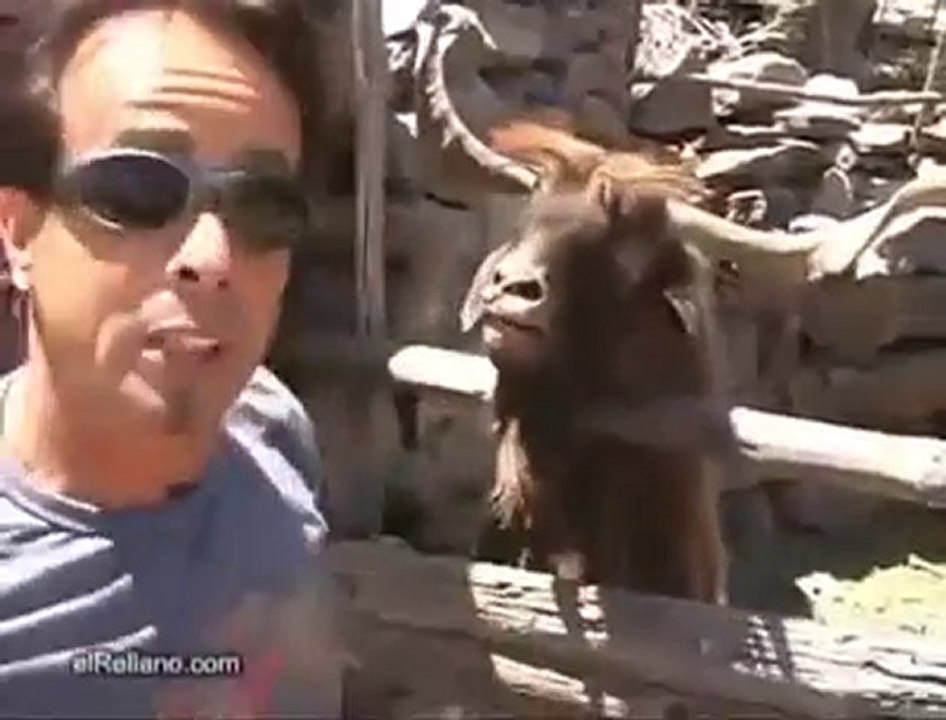 Türünün Son Örneği Bir Keçi :D