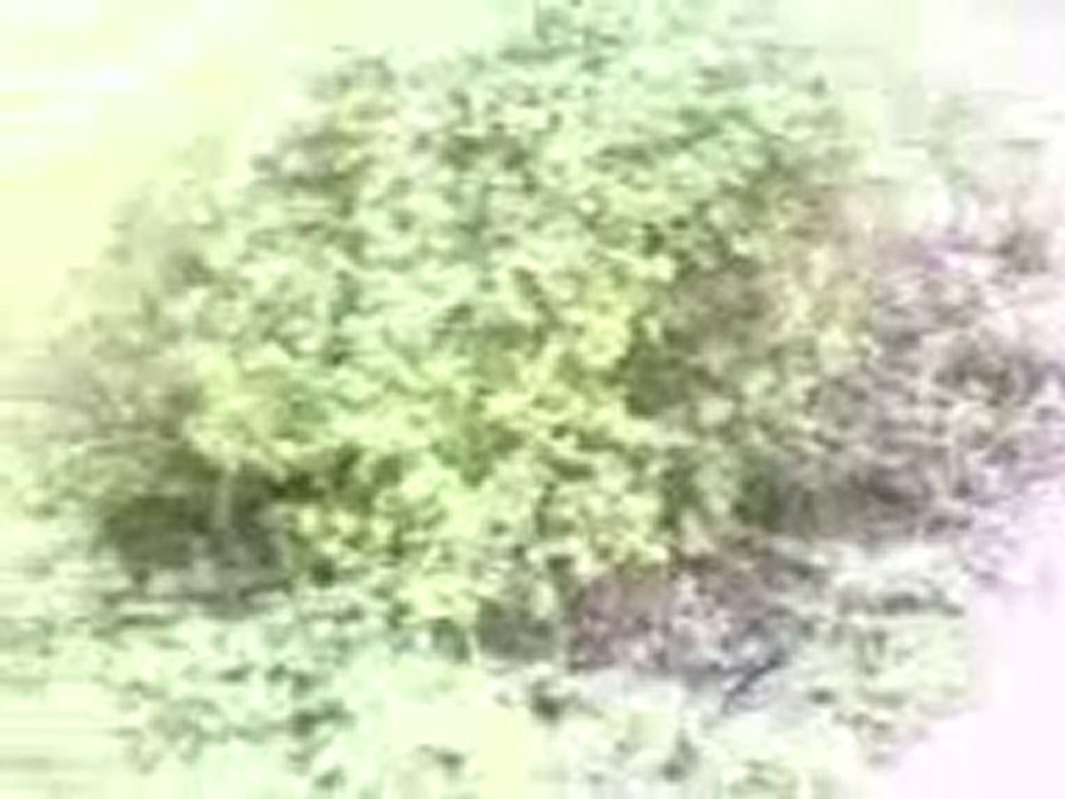 sortie du 11 juillet 2010