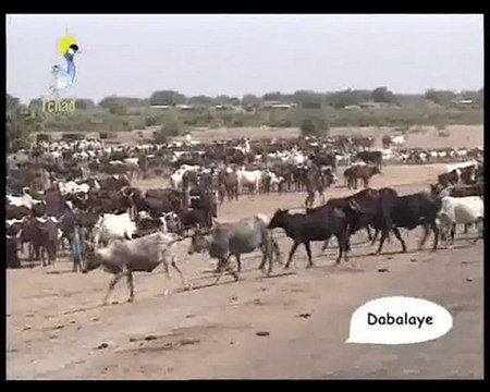 DABALAYE DU 07 DU 11/07/2010 PAR TCHADONLINE.TV