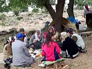 FASILLAR KÖYÜ 2007 ŞENLİĞİ 2