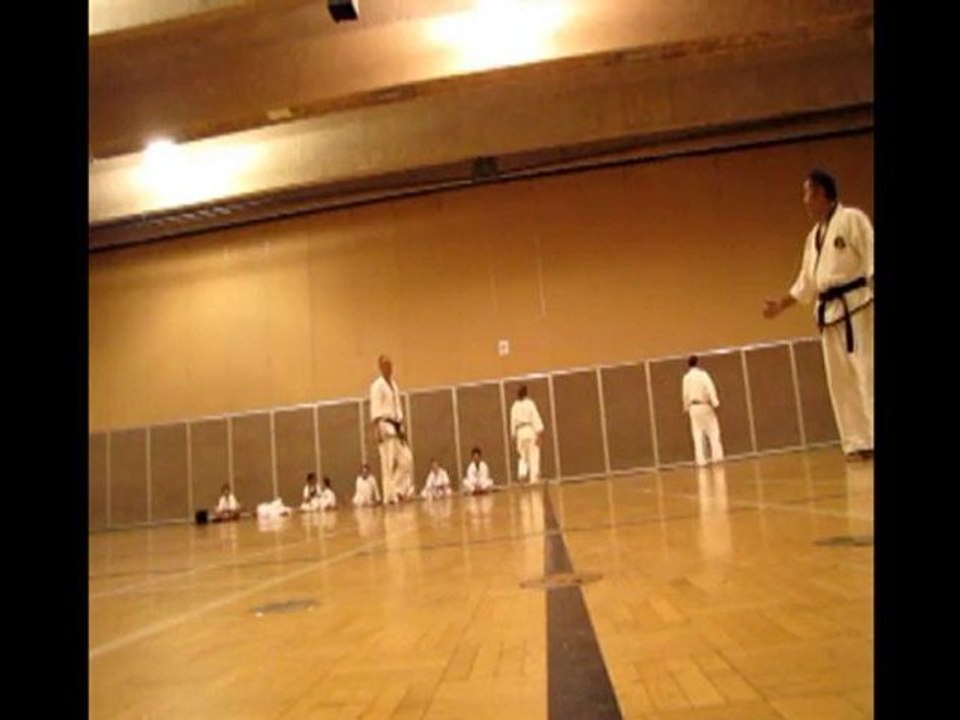 Black Belt Exam  June 2010 Katas (2)