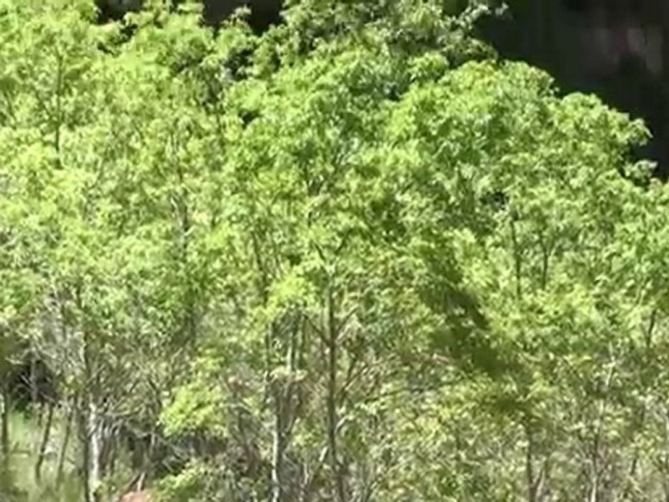 Zion Riverside walk