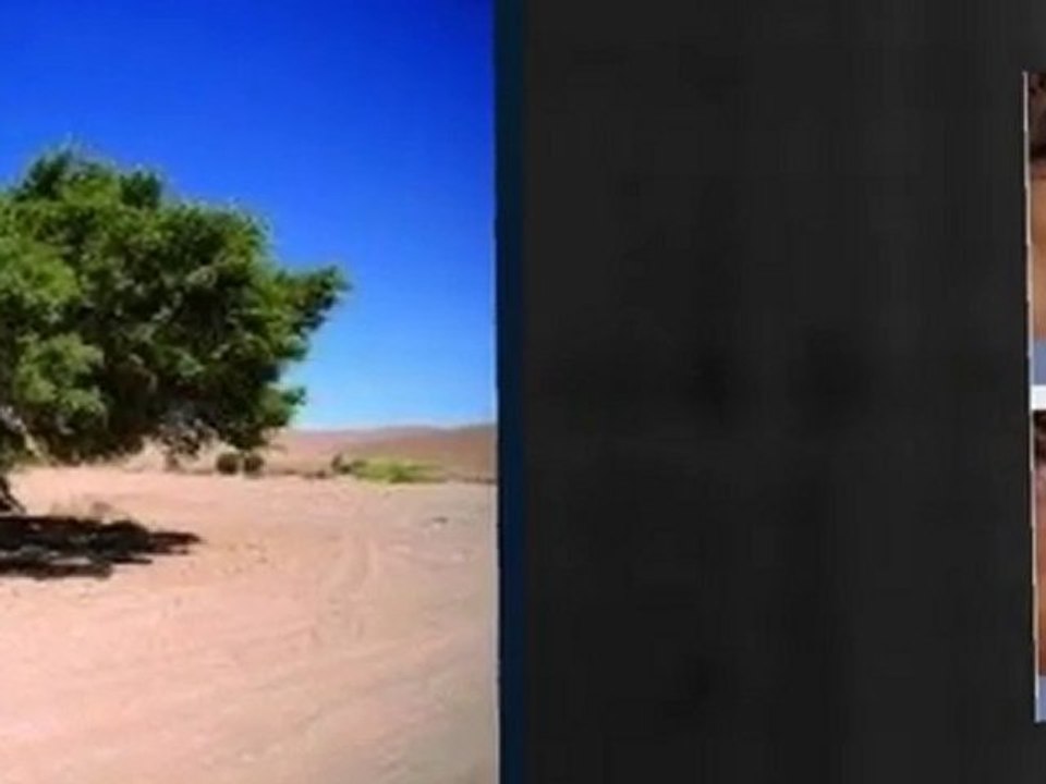 Renate neumann  effekt.kosmetik 2010