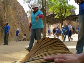 Faut-il, ou non, visiter le temple des tigres ?