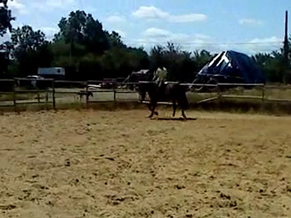 Océ dimanche 11 juillet 2010 007