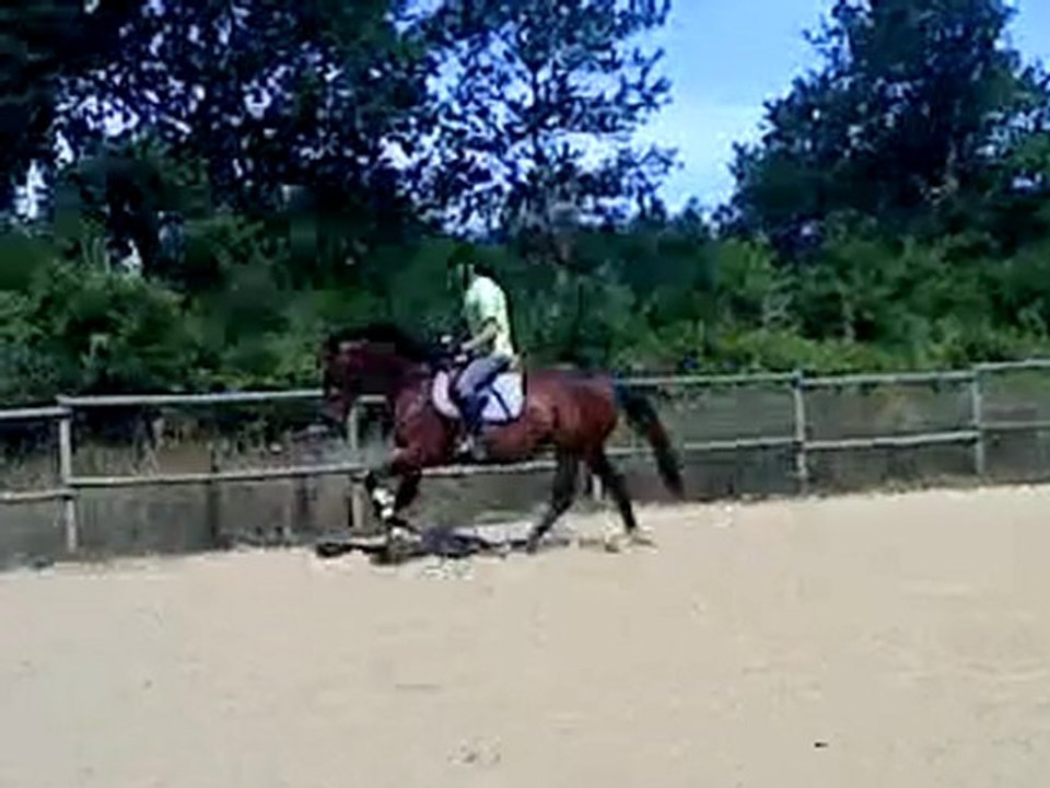 Océ dimanche 11 juillet 2010 006