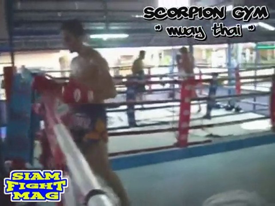 Scorpion Gym Pattaya