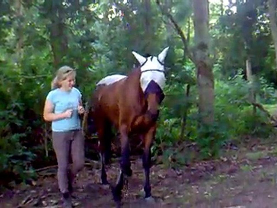 New a la jambette alterné.