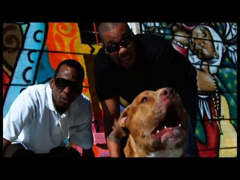 Ayşe Özyılmazel - İstanbul'un Kızları