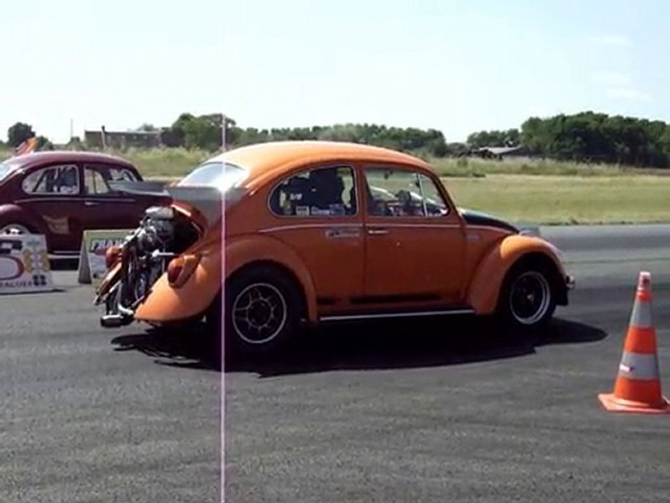 Lurcy DDR 2010: Coyote