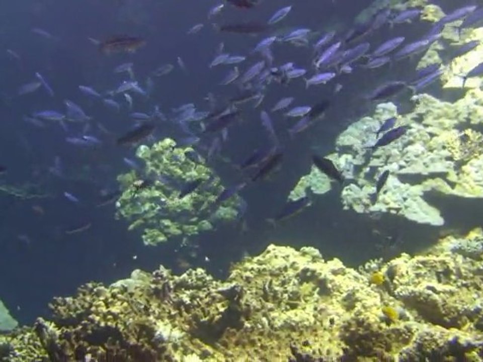 fond mer rouge