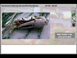 Invertebrates: Noninsect Arthropods and Echinoderms Part 1