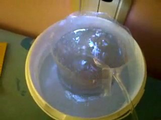 akvarym artemia düzeneği