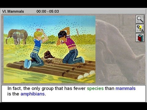 Elementary Science: Animals: Mammals