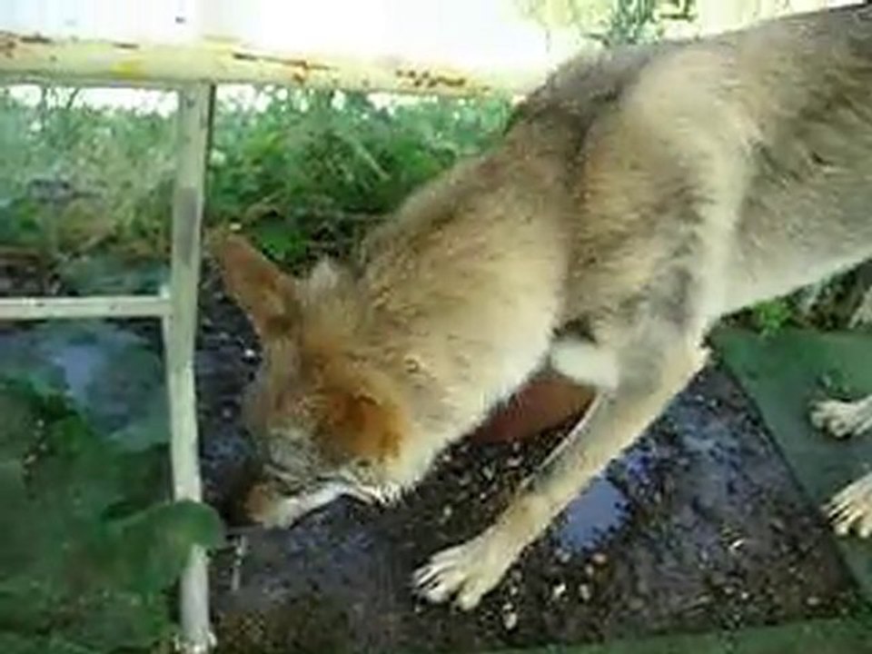 fait trop chaud on joue à l'eau!