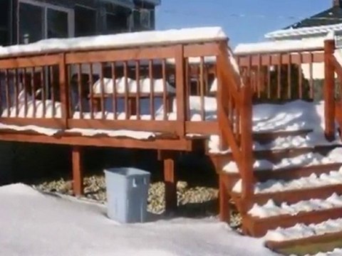 Homes for Sale - 11535 S Bell Ave - Chicago, IL 60643 - Cold