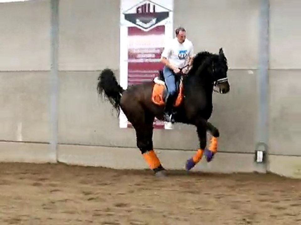 PLR - Patrick LE ROLLAND - Transitions - Jan SYMONS 1/3