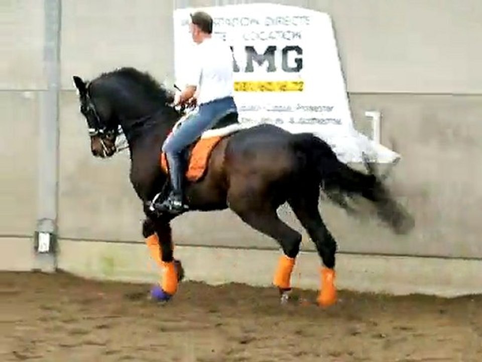 PLR - Patrick LE ROLLAND - Transitions - Jan SYMONS 2/3