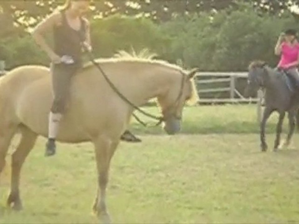 Une séance avec Pilou