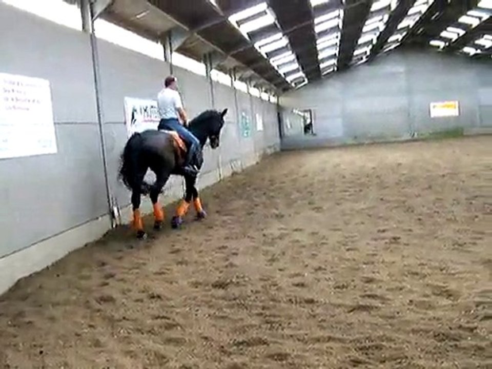 PLR - Patrick LE ROLLAND - Transitions - Jan SYMONS 3/3