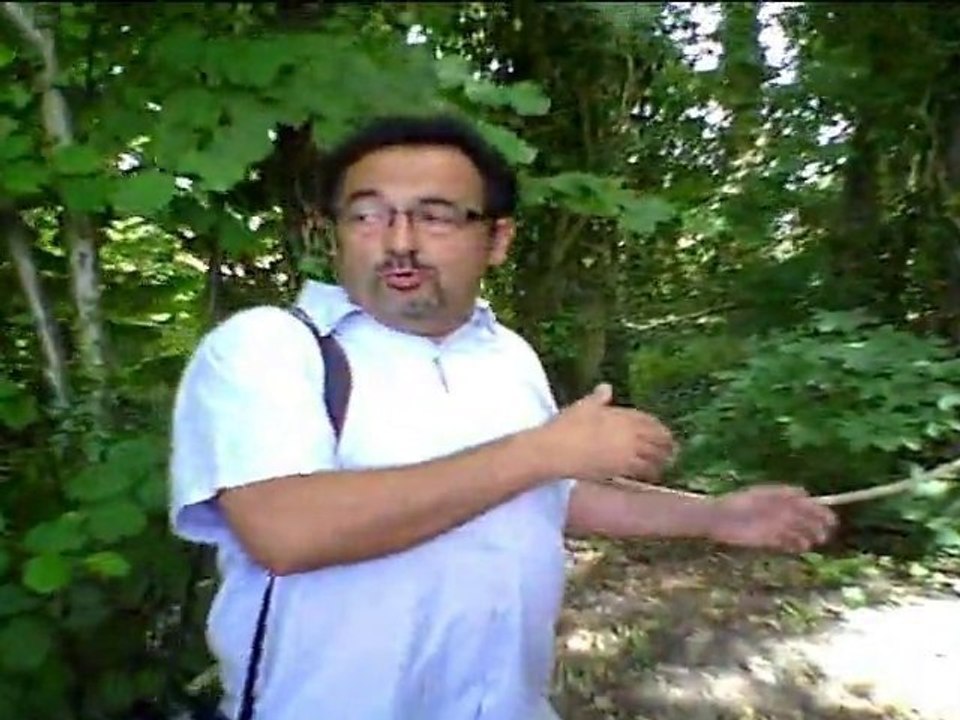 Domaine de Lindre Rives en Rêves