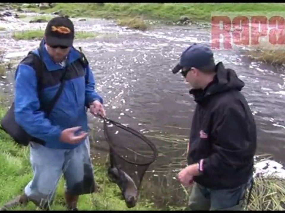 Trout On Rapala X-Rap Floating Lure