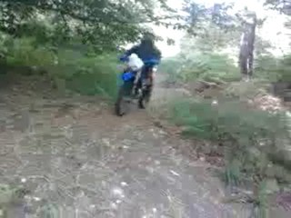 Rieju mrx pro top rose 6